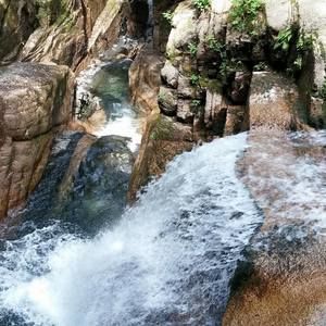 Meet your Posher, Aidan